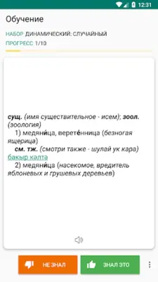 Русско-татарский словарь android App screenshot 6